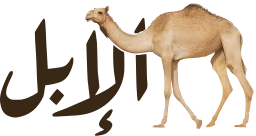 الأبل